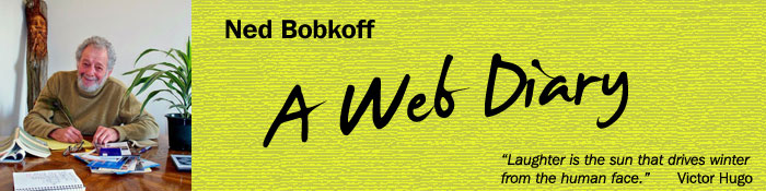 Ned Bobkoff